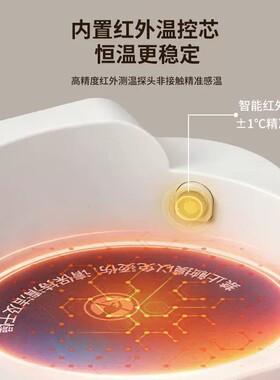2026新款养生壶全玻璃分体恒温婴儿冲泡奶粉调奶器保温花茶烧水壶