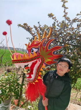 成人舞龙道具初中高中生舞龙小孩龙头儿童舞龙拓展舞龙泡泡龙道具