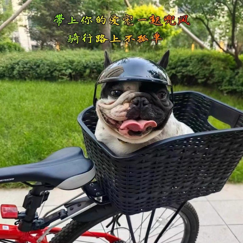 适用于捷安特公路自行车前后车筐篮子置物pcrltd2alight2ppadv2s - 图0