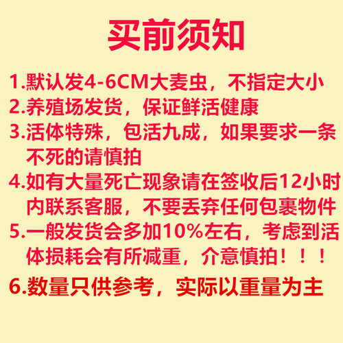 大麦虫活虫鲜活体非面包虫黄粉虫金龙鱼饲料活体八哥画眉鸟食虫子 - 图0