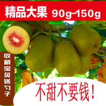 Te-level Big Fruits Sichuan Red Hearts Kiwi Fruit Quality When Season Fresh Pregnant Women Fruits Now Remove 5 catties