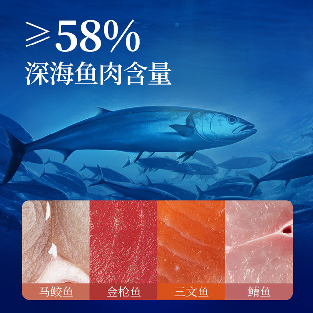 Ocean Star Rainbow Cat Canned Baked Food