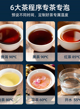 迈卡罗MC-ZC1109萃茶机纯钛煮茶器 蒸汽喷淋煮茶壶 蒸煮一体式