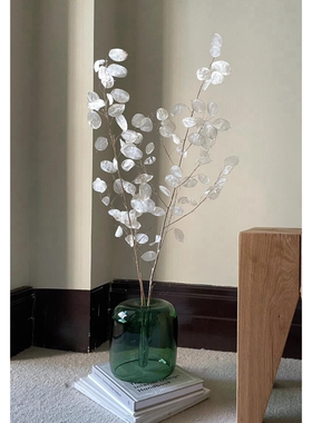 进口银扇叶干花真花花束高端天然橱窗装饰布置展厅服装店装饰摆件