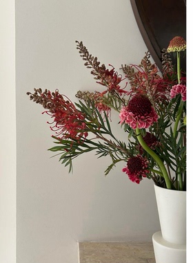 银桦花鲜花家用插花室内水养新鲜瓶插花家居装饰桌面摆件节日礼物