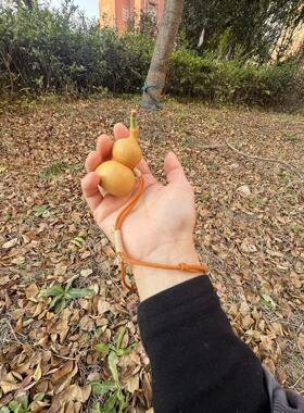 八宝奶瓶葫芦防丢绳腰绳可拆卸可调节2mm棉线纯手工编织腕绳推拉