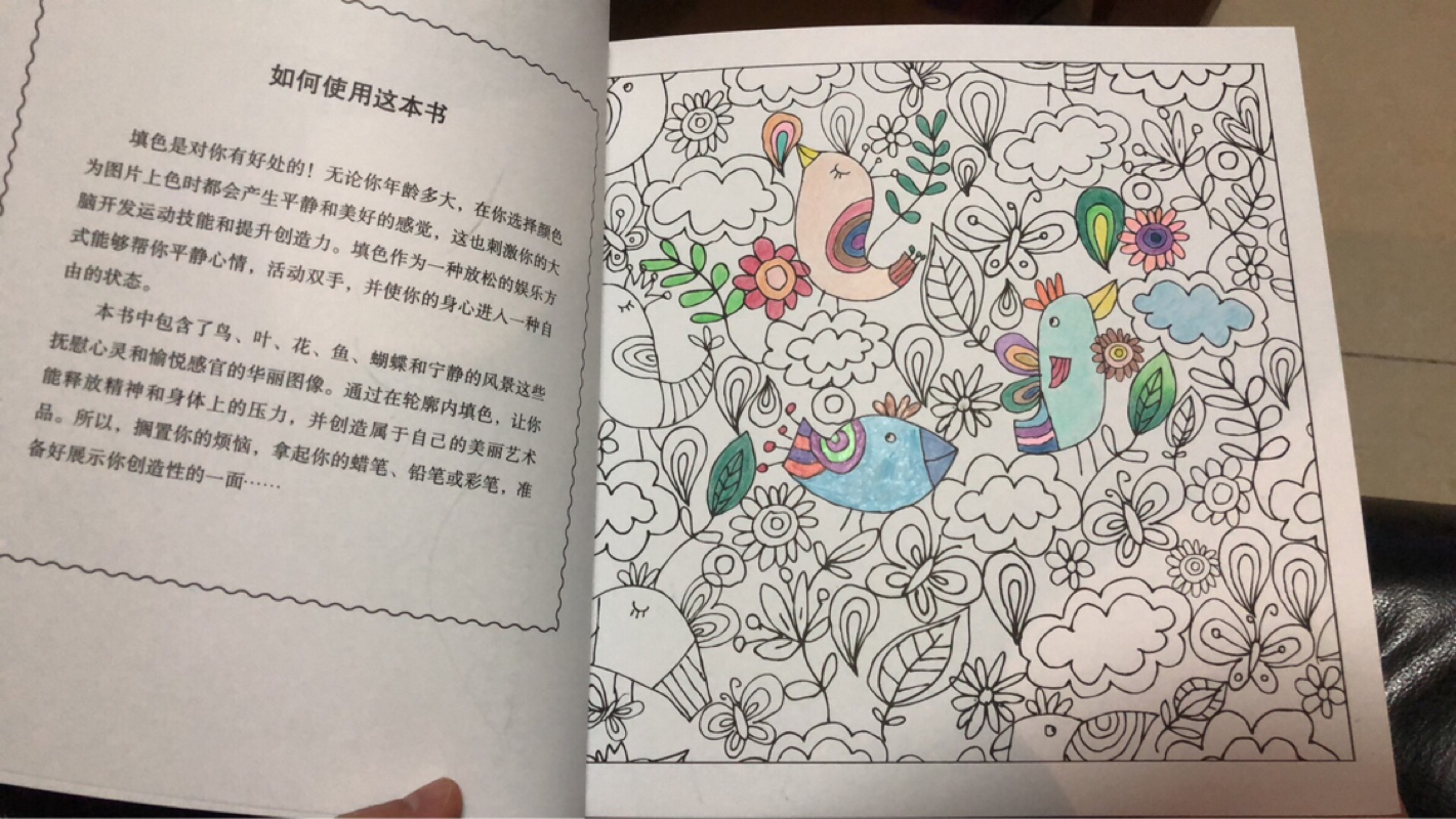 绿野仙踪花花草草涂色书填色本成人学生减压解压图色画涂鸦画玩具 - 图2