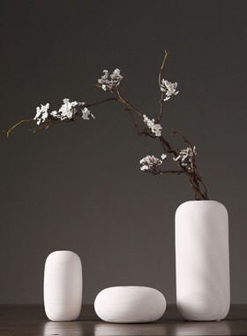 ins风高颜值白色陶瓷花瓶摆件 创意家居客厅玄关酒柜摆设软装饰品