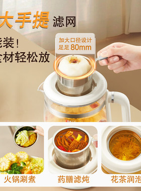 荣事达纯钛养生壶炖煮一体大容量办公室煮茶器多功能家用烧水壶