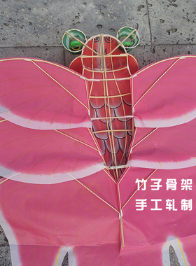 立体金鱼传统纸鸢汉服拍照道具