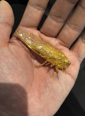 知了蜕变成金蝉重工金蝉摆件复古高级感小巧潮玩百搭个性轻奢摆饰