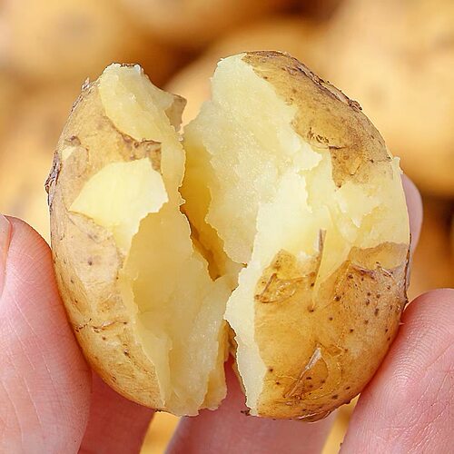 新鲜迷你土豆农家自种当季蔬菜5斤恩施老品种土豆粉面洋芋马铃薯 - 图0