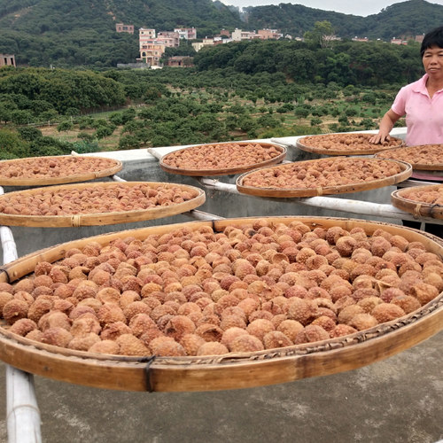 2025年高州桂味荔枝干500g非白糖罂农家特产老树核小肉厚正品包邮 - 图1