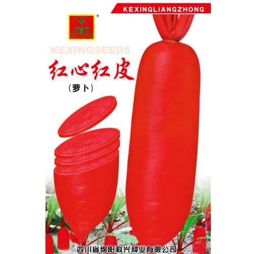 红心萝卜种子四川特色红皮红肉胭脂红萝卜种籽秋季农家田园蔬菜孑 - 图0