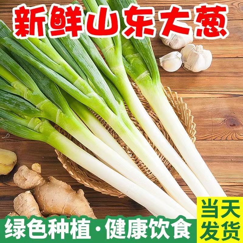 正宗山东大葱新鲜10/5斤特级非章丘甜葱铁杆嫩葱现挖蘸酱蔬菜包邮-图0