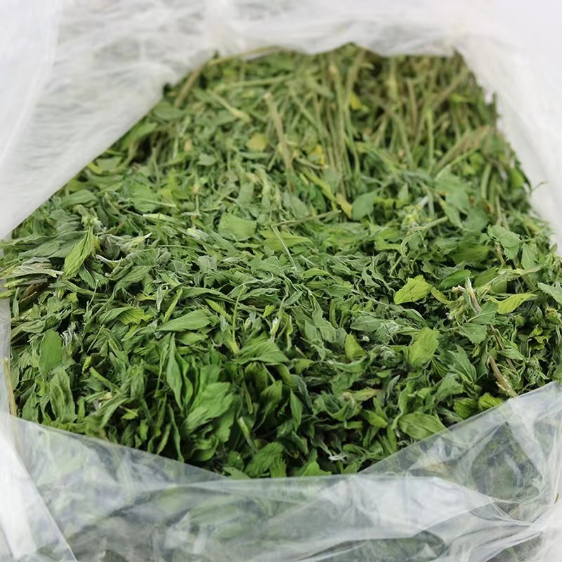 23年新烘干苜蓿草紫花苜蓿草龙猫牧草兔粮饲料毛重1.8斤兔干草 - 图0