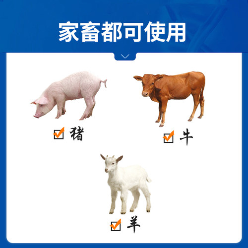 中龙神力乙酰甲喹注射液痢菌净兽药针剂仔猪牛羊肠炎犊腹泻黄白痢 - 图0