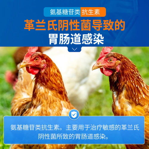 中龙神力鸡用药硫酸新霉素兽用可溶性粉新霉素兽药猪鸡禽白痢肠炎 - 图0