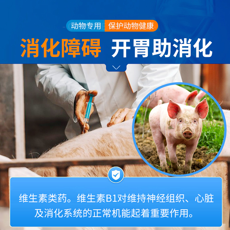 中龙神力复合维生素b兽药针剂注射液兽用猪马牛羊犬猫兔宠物开胃-图2