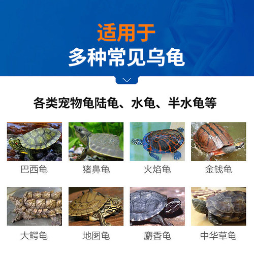 中龙神力聚维酮碘溶液乌龟腐甲药白眼腐皮烂甲白点水霉专用药外喷 - 图3