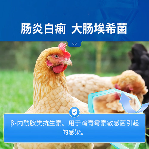 中龙神力复方阿莫西林克拉维酸钾可溶性粉兽用消炎猪鸡用禽牛羊药 - 图1