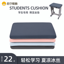 Student Cushions Winter Ice Mat Classroom Special Bench Dorm dorm Stool Butt Mat for a long sitting summer and cool cushion 2841
