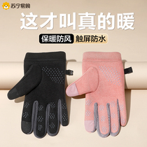 Winter sports warm gloves for men and women waterproof riding windproof cold-proof lovers bike non-slip touch screen gloves 893