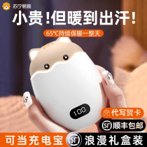 Warm Hand Treasure Charging Treasure Two-in-one Girls Poop Style Hot Water Bags Warm Water Bags Cute Little Warm Palace Gifts Men And Women Friends Holiday Gifts Winter Birthday Gifts Heating Theorator 763d