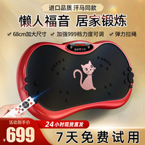 German sweaty shake-shaking machine Torah lazy person to lose weight slim slim belly slim waist slim down to reduce belly of belly Divine Instrumental 1692