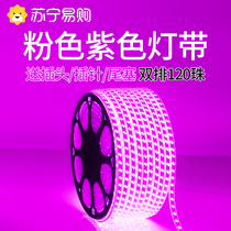 Purple Led lamp with purple light pink lamp with home 220v Decorative Romantic Idea Super Bright Outdoor Waterproof 3005