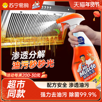 Mr. Wilder Kitchen Heavy Oil Slicks Ventilator Cleaning Agent Go to Oil Pollution Net Mighty Foam Clean God 1809