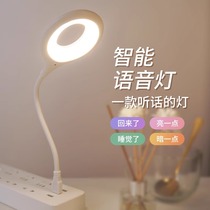 Smart voice small night light net red voice-controlled led baby feeding eye usb bedside bedroom sleep 383