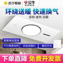 Bull Double Electric Motor Bath Bully Toilet Integrated Ceiling Wind Heating Lighting Exhaust Fan Integrated Bathroom Warm blower 410