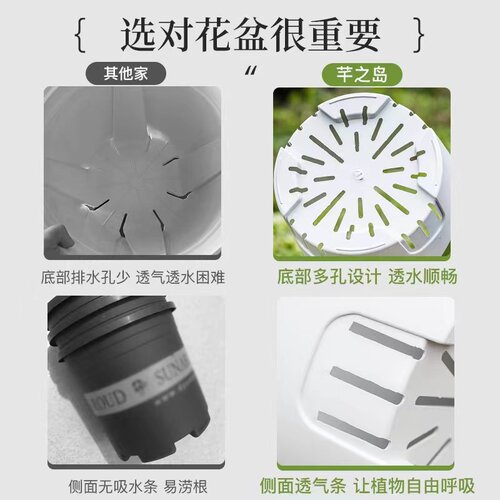 升级飘带盆青山控根盆三二代透气加仑花盆塑料加厚大口径特价清仓-图1