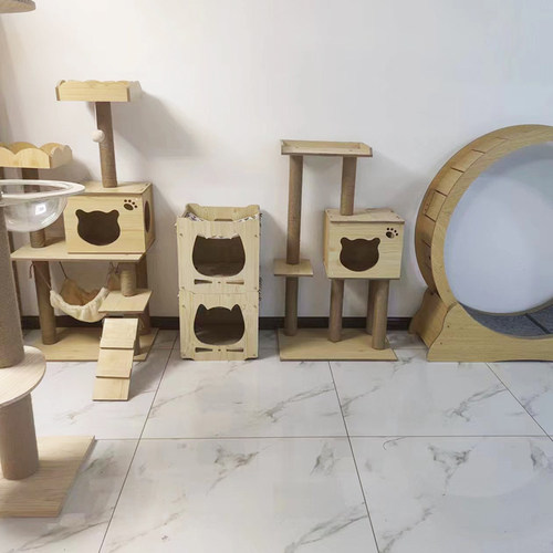 上海/苏州宠物寄养猫咪代管猫猫兔子龙猫仓鼠小宠托管长短期代养 - 图3