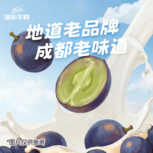 菊乐葡萄味酸乐奶250ml*16盒装酸酸乳儿童牛奶含乳饮料早餐奶整箱 - 图1