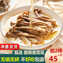 Fresh Antler Mushrooms Dry Goods Non-Special Class Antler Bacteria Yunnan Special production Soup Crisp champignons Mushrooms Mushrooms RMB45 500g