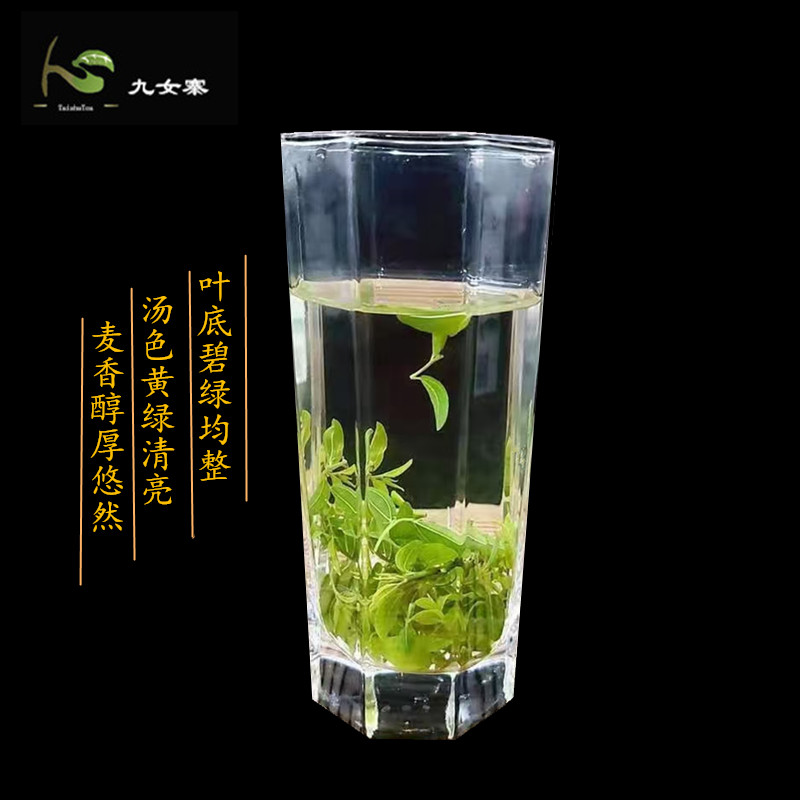 野生酸枣芽茶酸枣叶茶酸枣仁茶酸枣嫩芽精品新茶茶叶养生茶酸枣芽 - 图0