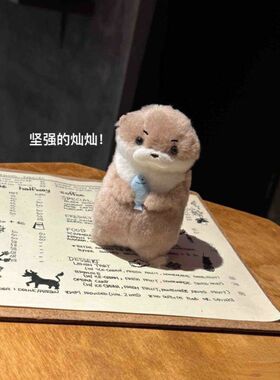 amuse可爱小水獭抱鱼毛绒玩偶挂件公仔礼物李灿送礼可爱创意礼物