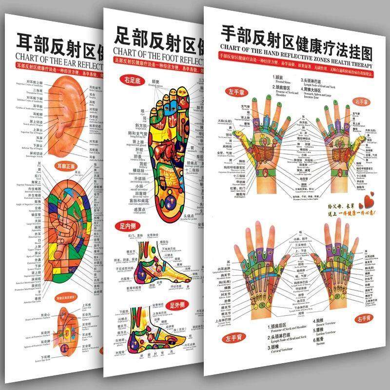 足部反射区挂图足底足疗按摩好处图片经络穴位图墙贴中医养生海报,淘宝优惠券,粉丝福利购,淘宝优惠卷