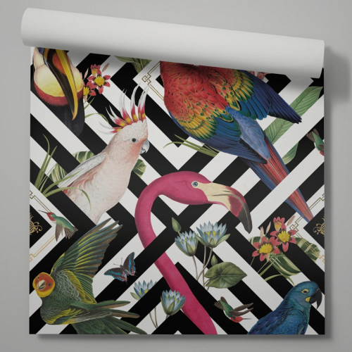 英国原装正品进口墙纸 Geometric Aviary 现代美式蜂鸟火烈鸟壁纸 - 图2