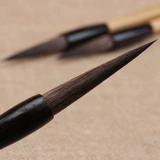 Шанян озеро ручка и подлинная подлинная крыса взрослая средняя средняя средняя