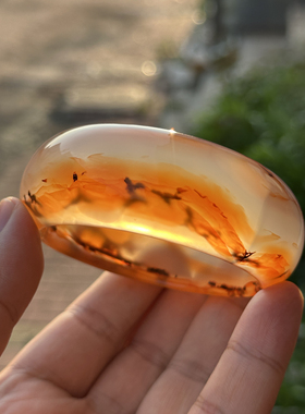 纯天然精品高冰象形玛瑙手镯口径58mm包邮