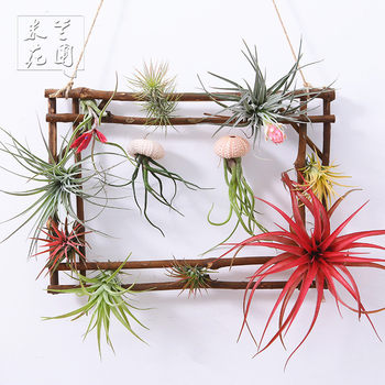 Air pineapple bracket hanging wall hanging purely hand-woven braided flower stand flower basket accessories pot pot