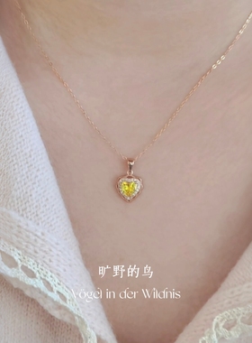 s925纯银锁骨链毛衣项链女礼物