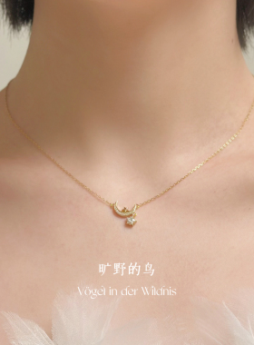 星月纯银项链锁骨链礼物送女友