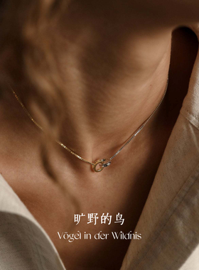 Vögel「永恒」环环相扣不锈钢金银拼色不对称项链高级女士毛衣链