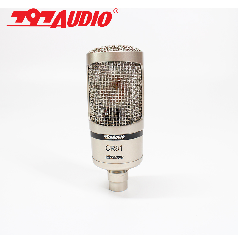 797AUDIO CR81大振膜录音话筒 直播 K歌人声 主播专业电容麦克风 - 图1