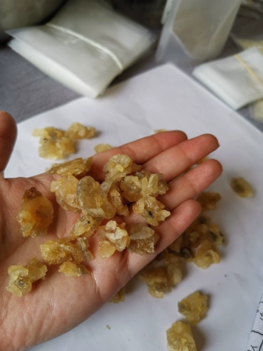 Северо-восточный снежный моллюск, обработанный зеленым измельченным маслом, масло горной лягушки Чанбайшань собирает утечку и высушивается, имеет высокую стоимость и вспенивается более чем в 60 раз.