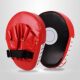 Boxing Sanda Bugat Sanda Target